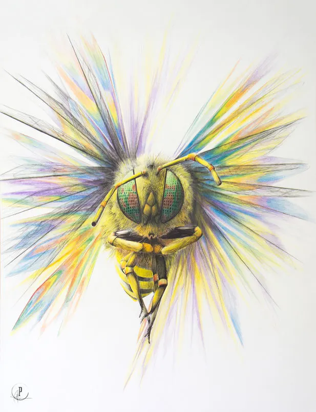 Illustrations et concepts de Pat Bisson · 01