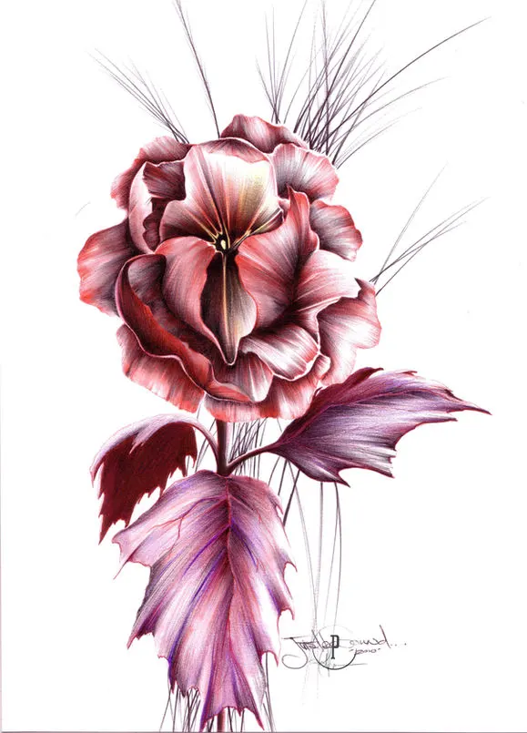Illustrations et concepts de Pat Bisson · 10