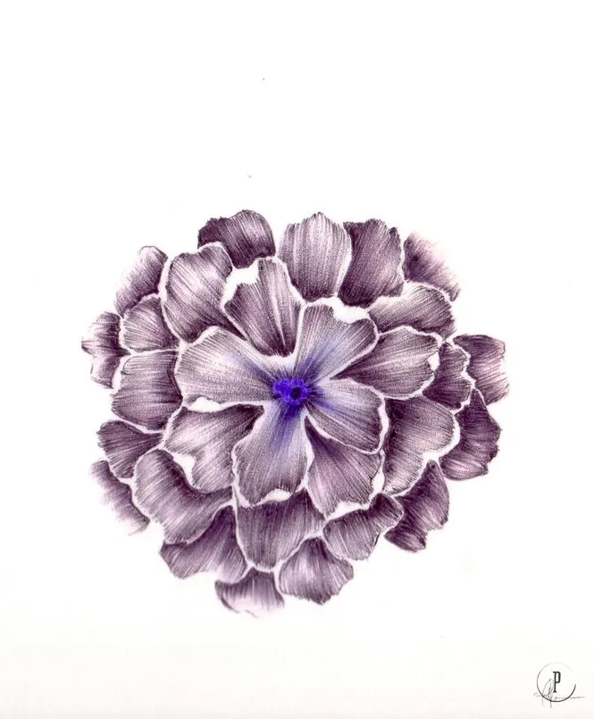 Illustrations et concepts de Pat Bisson · 15