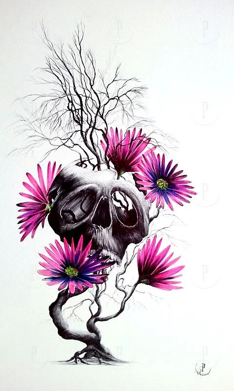 Illustrations et concepts de Pat Bisson · 25